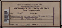 Image Associated With the Occurence